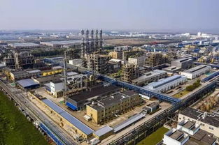 投資238億，中國(guó)石化鄂爾多斯大路煤制烯烴項(xiàng)目正式開工